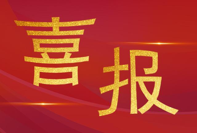 喜報|加華榮獲2024年度中國電工技術(shù)學(xué)會科技進步獎